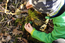 Geocaching Boy Finds A Geocache Hidden In The Forest