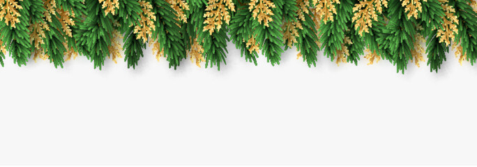 christmas border green and golden pine branches. isolated on white background.