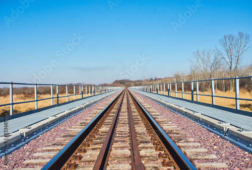 Fotografie, Obraz Mass Transit by Rail - Rail Lines in Winter