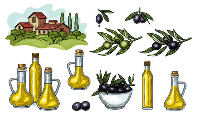 Olives on a branch with leaves. Glass jugs and a bottle of olive oil. Rural landscape with Villa or farmhouse, field, trees and cypress trees. 