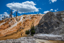 Mammoth Hot Springs In Yellowstone National Park, USA