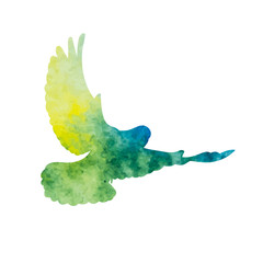 Wall Mural - vector isolated blue watercolor flying dove silhouette