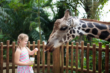 Poster - Kids feed giraffe at zoo. Children at safari park.