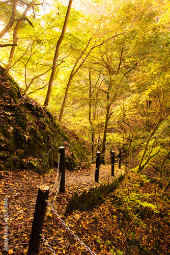 兵庫県 紅葉の氷ノ山 天滝渓谷の散策 Stock Photo Adobe Stock 兵庫県 紅葉の氷ノ山 天滝渓谷の散策 Stock Photo Adobe Stock