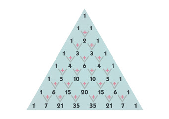 Wall Mural - Scheme of the binomial coefficients