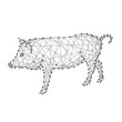 Pig is a symbol of the new year 2019 from abstract futuristic polygonal black lines and dots. Vector illustration.