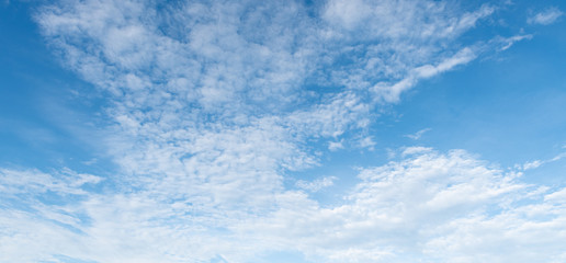 Wall Mural - clear blue sky with white cloud background. clearing day and good weather in the morning.