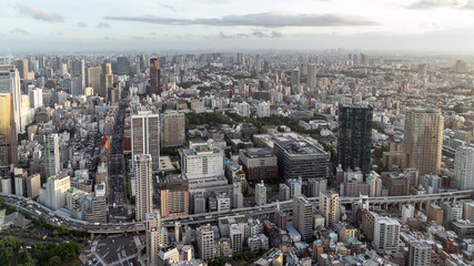 Wall Mural - Tokyo skyline as seen from the Tokyo Tower, Japan