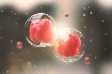 Wall Mural - 3d rendering of human cell or embryonic stem cell microscope background.