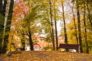 Beautiful scenery with two empty benches and a view towards the city with orange brick rooftops