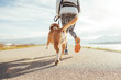 © Soloviova Liudmyla - Female starting the morning jogging  with his beagle dog by the asphalt running track. Bright sunny Morning Canicross exercises. Close up legs image