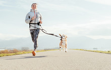 Canicross Exercises. Female Runs With His Beagle Dog And Happy Smiling. Autumn Spring Outdoor Sport Activity