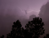 Fototapeta Abstrakcje - Lightning strike above the treeline