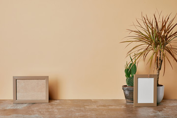 Sticker - PPhoto frames  and different plants on table on beige background