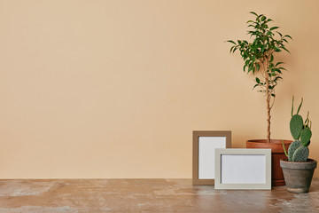 Sticker - Plants and two photo frames on wooden table on beige background