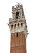 Siena City Hall Tower, Isolated