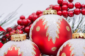 Blooming Holiday Red Poinsettia, Pine and Berry bush and ornament decoration in the form of Christmas tree balls.