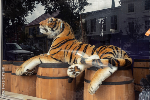 large stuffed tiger