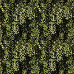 A seamless pattern texture of brown twigs of a fir-tree with green spruce needles for New Year or Christmas