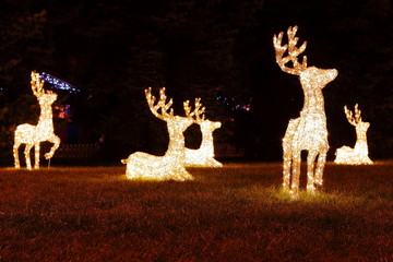 Family of Christmas reindeers (deer with lights) in the garden at night. Christmas decorations. Illuminated reindeer.