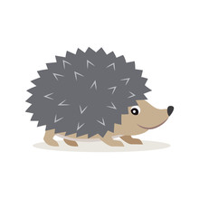 Icon Of Gray Hedgehog Isolated, Forest, Woodland Animal, Vector Illustration For Children Book Or Decoration