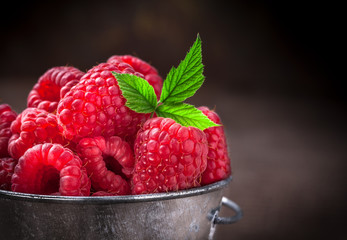 Wall Mural - Raspberries with leaves close up front view arrangement in old metallic can on dark background in studio