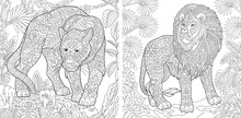 Coloring Pages With Panther And Lion