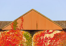 Gebäude Mit Buntem Herbstlaub