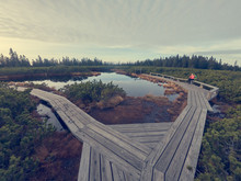 Wooden Boardwalk Crossing Marshes Surrounded With Bushes.