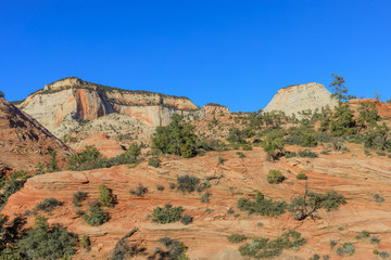 Sticker - Scenic Zion National Park Landscape