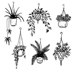 Wall Mural - Set of potted house plants, vector sketch