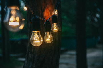 Light bulb decor in outdoor party