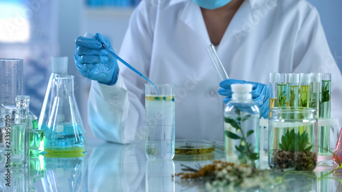 Cuadros en Lienzo Female chemist pouring test liquid in oil, cosmetics production, aromatherapy