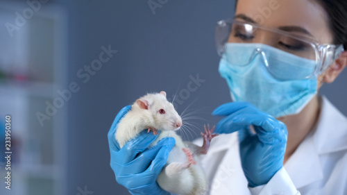 Fotografía Woman scientist holding lab rat, medicine development, tests on animals