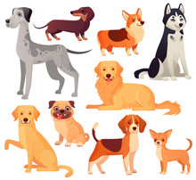 Dogs Pets Character. Labrador Dog, Golden Retriever And Husky. Cartoon Vector Isolated Illustration Set