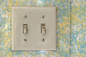 Old Double Wall Switch