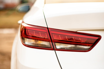 Canvas Print - luxury white car. rear view