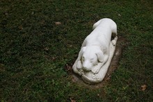Tombstones Withdog Or Hound  In Victorian Graveyard