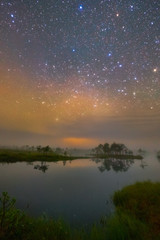 Wall Mural - swamp in the night