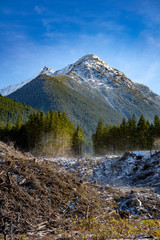 Beautiful Forest and Mountain Landscape with Logging Clear Cuts