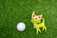 Cat With Golf Ball On Green Grass