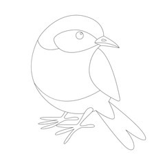 Wall Mural - eastern bluebird, lining draw , front