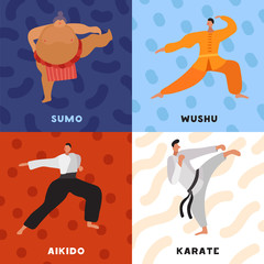 Wall Mural - Martial Arts Flat Design Concept