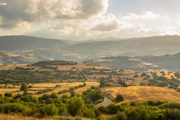 Wall Mural - Irrigated Agricultural landscape on Cyprus