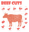 Vector beef cuts chart