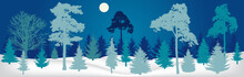 Winter Landscape. Night Forest Panorama, Silhouette. Vector Illustration