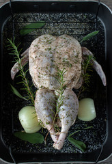 Wall Mural - Raw duck with rosemary and onions on baking rack flat lay