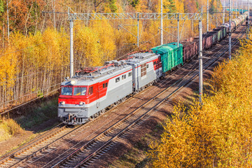 Wall Mural - Long freight train approaches to the station at autumn day time.