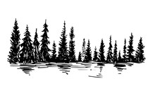 Hand Drawn Sketch Of Pine Forest. Vector Background.