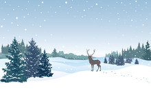 Christmas Background. Snow Winter Landscape With Deer.